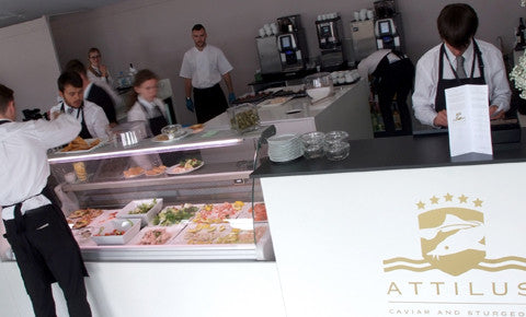 ATTILUS CAVIAR OG DET GLAMORØSE GOODWOOD-HESTEVÆDDELØB